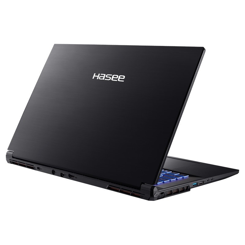 HASEE G8R9 Intel Core i9 13900H 2600MHz/17.3"/2560x1440/16GB/1024GB SSD/NVIDIA GeForce RTX 4060 8GB/Wi-Fi/Bluetooth/Без ОС (G8R9) Black